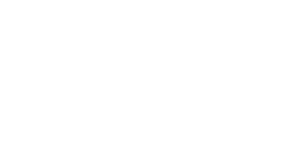 The Salon